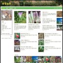 적음농장 이미지