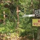 각화산민박