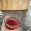 상아약국 | 케냐 여행 3~4일차-마사이 마라 숙소(점보 마라)/Balu Travel 게임 드라이브