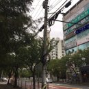 야음중학교 이미지