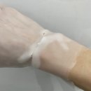 베스터치 이미지