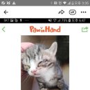 달콩이 이미지