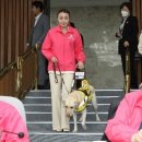 사랑이 꽃피는 약국 이미지