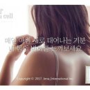 제나셀 이미지