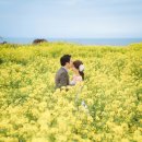 you 헤어갤러리 네이버블로그