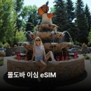 (주)뜨거운청춘 이미지