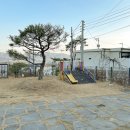라파미 D 네이버블로그