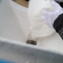 한강성심병원 장례식장 이미지