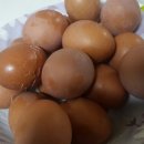 오쿠에서 구운 계란 이미지
