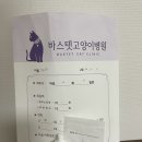 바스텟고양이병원 이미지