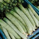 금남농장 이미지