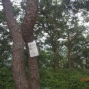 운림교 이미지