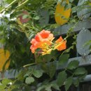 신갈유치원 이미지