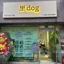 뽀 dog 이미지