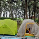 몽산포 야영장 이미지