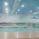 아쿠아레나 | 공주 수영장 아쿠아레나 무료체험 후기