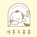 아몬드 몽몽 이미지