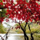 백암레져 이미지