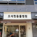 오석헌동물병원 네이버블로그