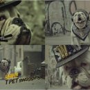 펫 온 - Pet on 이미지