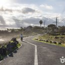 서귀포종합관광안내소 이미지