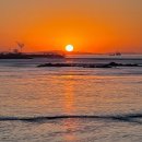 배곧한울공원 이미지