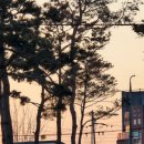 경산하나치과 | 일주일 일기 | 쿠팡알바 | 치과🦷, 네일샵💅🏻 | 파 키우기 | 시골감 | 경산(feat.대구대) | 빵부장후기