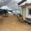 인수농장 이미지