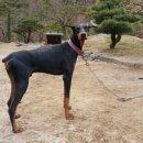 제우스농장 이미지