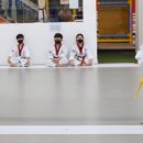 영종하늘태권도장 이미지