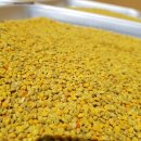 불로양봉자재 이미지