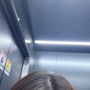 일산 정발산 미용실 오브르헤어 뿌리염색(새치커버) 후기!