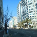 둔산중로-11 이미지