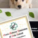 라파동물병원 이미지