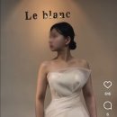 w-11 | [W.11] 드레스투어 후기 [비비드블랑, 모니카블랑쉬, 르블랑]