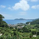 학동산장 이미지