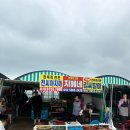 지혜네 | 부산 연화리 해녀촌 단돈 5만원 신선한 해산물과 전복죽까지! 🐟🍱🦐 내돈내산 후기 <10번 지혜네집>