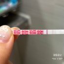 별에서 온 뿌꾸 | 임신 5주~16주, 주차별 증상 후기 | 송도 곽생로 산부인과