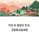 봄 날 숲길따라, 사하 林[산림치유 평생학습 프로그램] | 국립횡성숲체원: 피톤치드 가득한 숲에서 즐기는 다양한 치유 프로그램