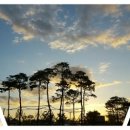 유니온파크 이미지