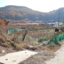 판대보건진료소 이미지