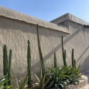 곤지네 상점 이미지