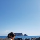 뻘떡낙지서귀포점 | 뻘떡낙지 서귀포점, 낙지볶음이 맛있게 맵다. 낙지파전도 추천