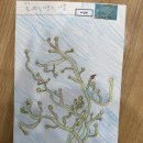 🎵동요-가위노래 / 명화 - 꽃피는 아몬드 나무 이미지