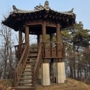 늠내길 1코스 숲길 이미지