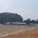 당진포3리 이미지