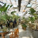 백운안길 이미지