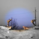 외갓집클라스 이미지