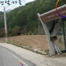 오전2리생달 이미지