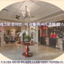 알레그로 호이안 호텔 추천: 럭셔리 후기와 함께 떠나는 호이안 여행